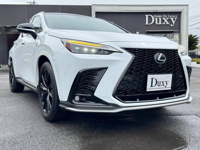 LEXUS NX - 6
