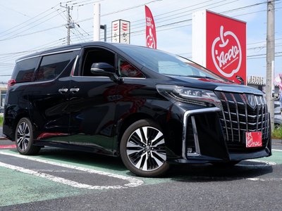 2022 Toyota ALPHARD — миниатюра 21