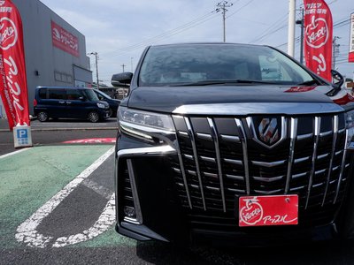 2022 Toyota ALPHARD — миниатюра 16