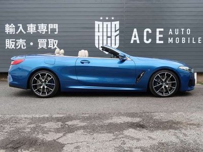 2020 BMW 8 SERIES CABRIOLET — миниатюра 17