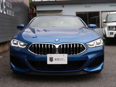 2020 BMW 8 SERIES CABRIOLET — миниатюра 15