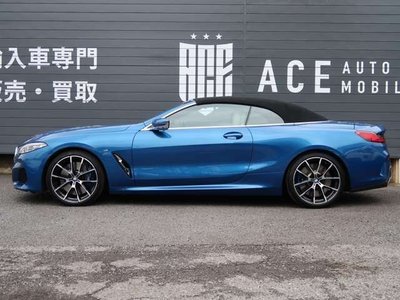 2020 BMW 8 SERIES CABRIOLET — миниатюра 18