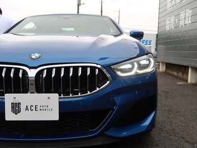 2020 BMW 8 SERIES CABRIOLET — миниатюра 29