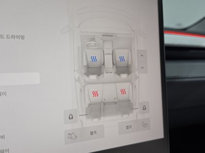 2025 Tesla MODEL Y — миниатюра 31