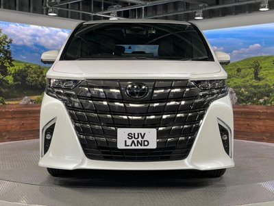 2024 Toyota ALPHARD 缩略图 16