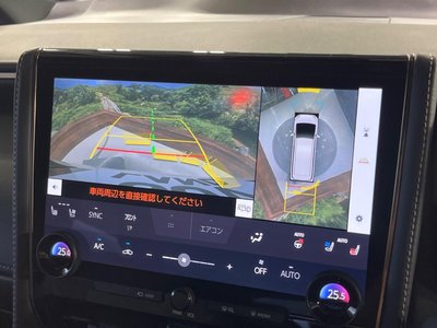 2024 Toyota ALPHARD photo 6