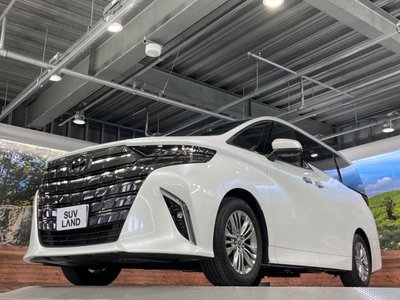 2024 Toyota ALPHARD 缩略图 27
