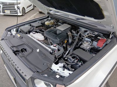 TOYOTA LAND CRUISER 250 - 2