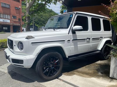 2019 Mercedes-BENZ G-CLASS 照片 9