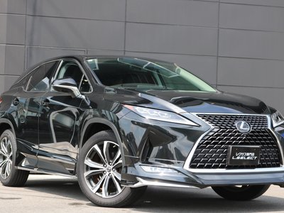 LEXUS RX - 10