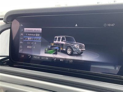 2019 Mercedes-BENZ G-CLASS 缩略图 13