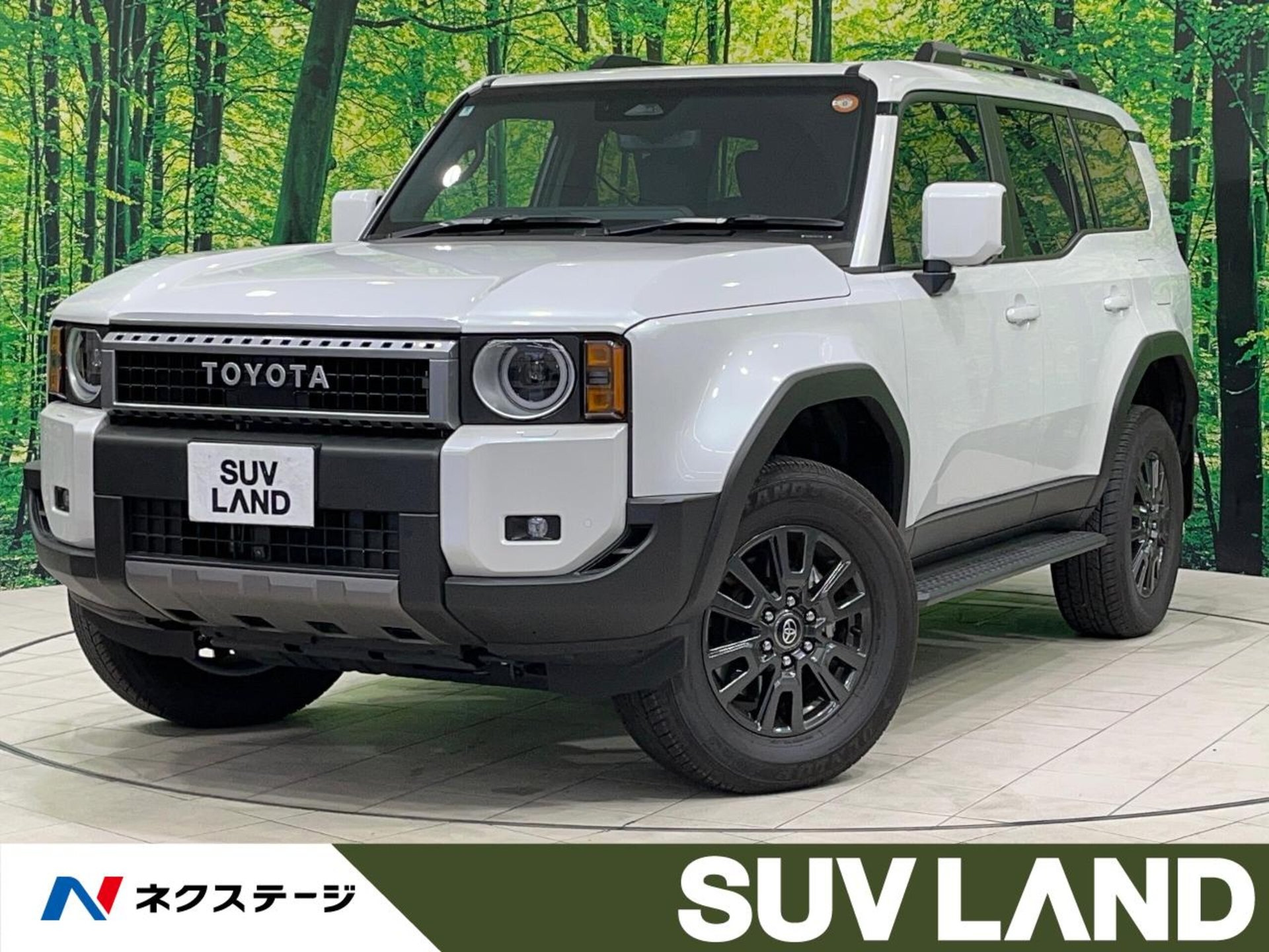 TOYOTA LAND CRUISER 250 - View 1