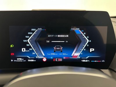 2025 BMW 1 SERIES 缩略图 33