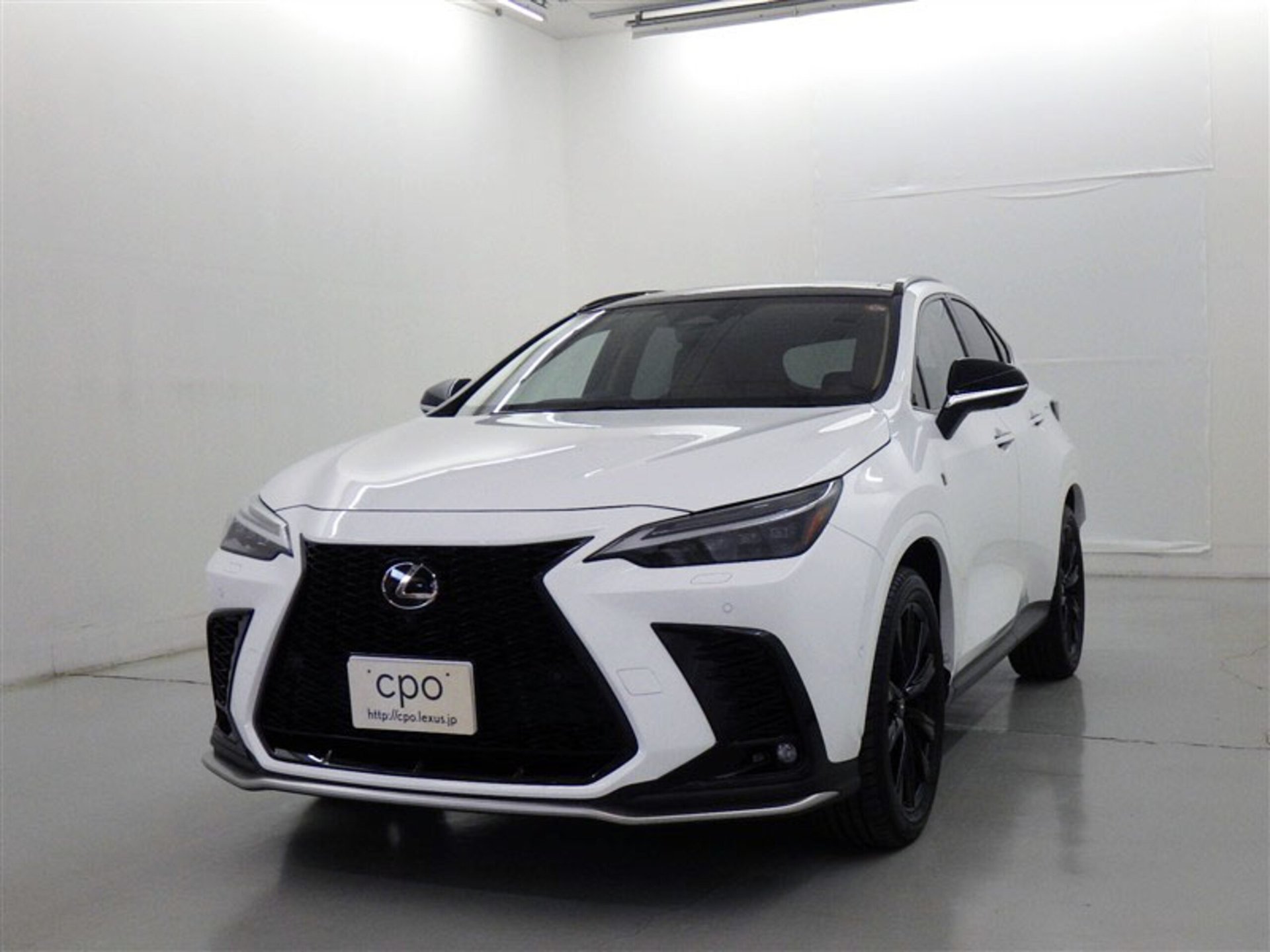 LEXUS NX - View 1