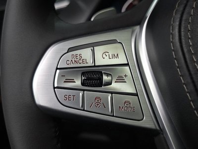 2021 BMW X7 缩略图 19