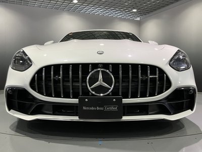 صورة مصغرة 43 لـ 2025 Mercedes-BENZ GT AMG