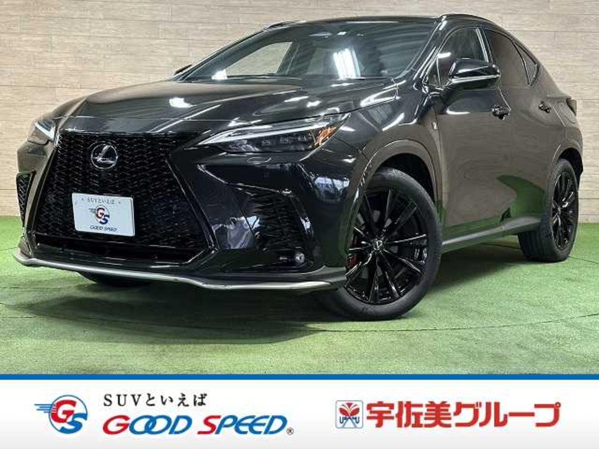 LEXUS NX - View 1