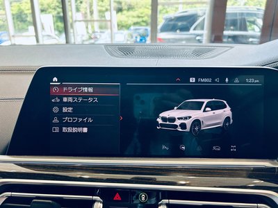 2019 BMW X5 — миниатюра 63