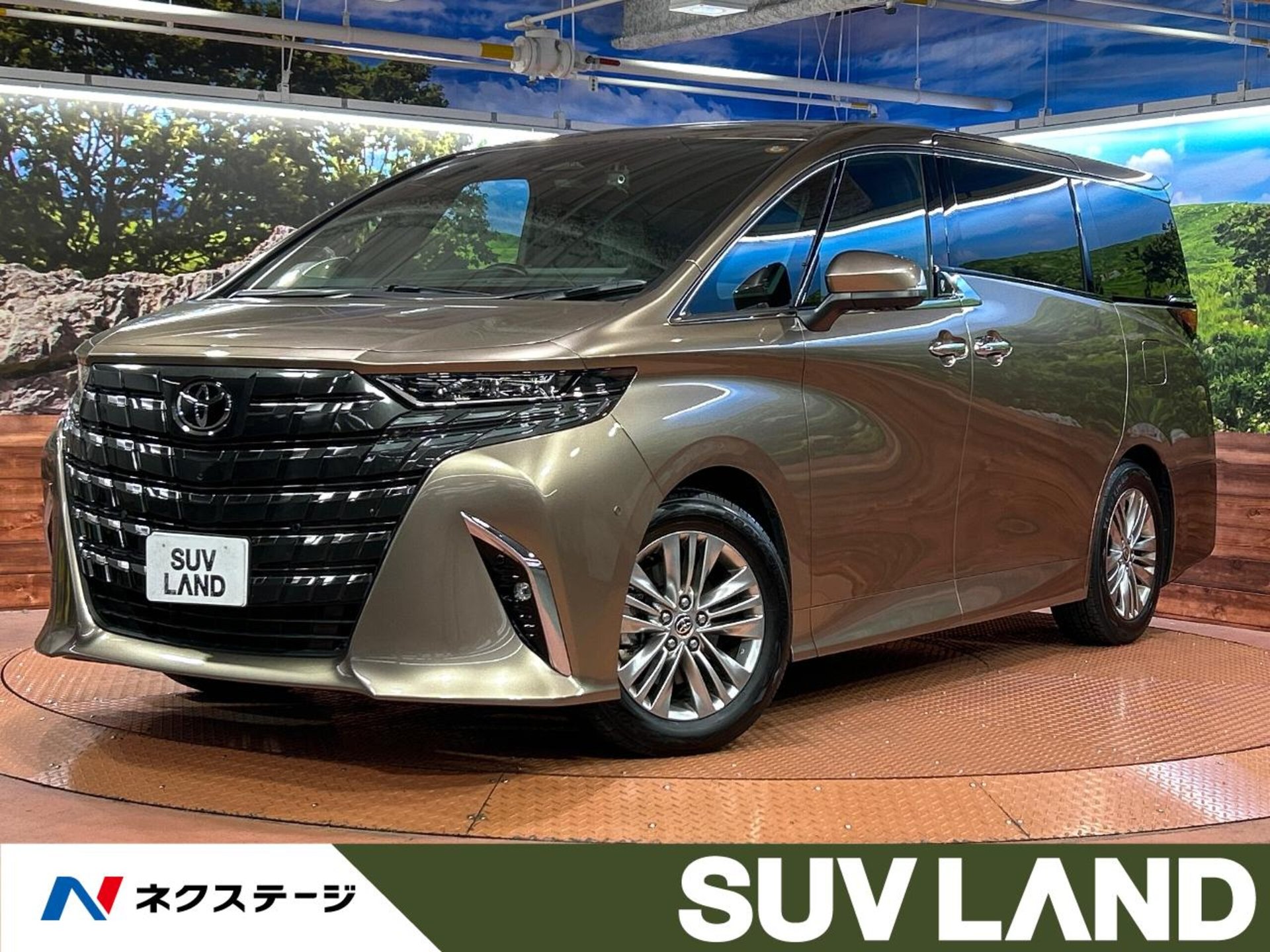 TOYOTA ALPHARD - View 1
