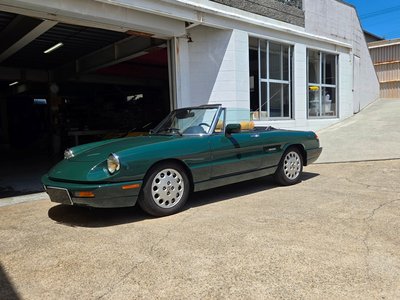 1991 ALFA Romeo ALFA SPIDER 缩略图 38