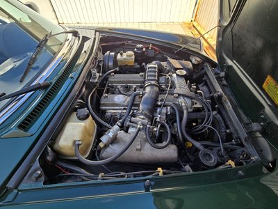 1991 ALFA Romeo ALFA SPIDER 缩略图 16