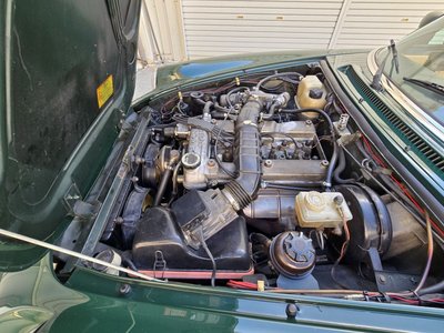 1991 ALFA Romeo ALFA SPIDER 缩略图 15