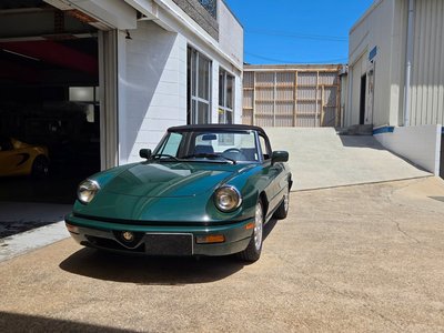 ALFA ROMEO ALFA SPIDER - 3