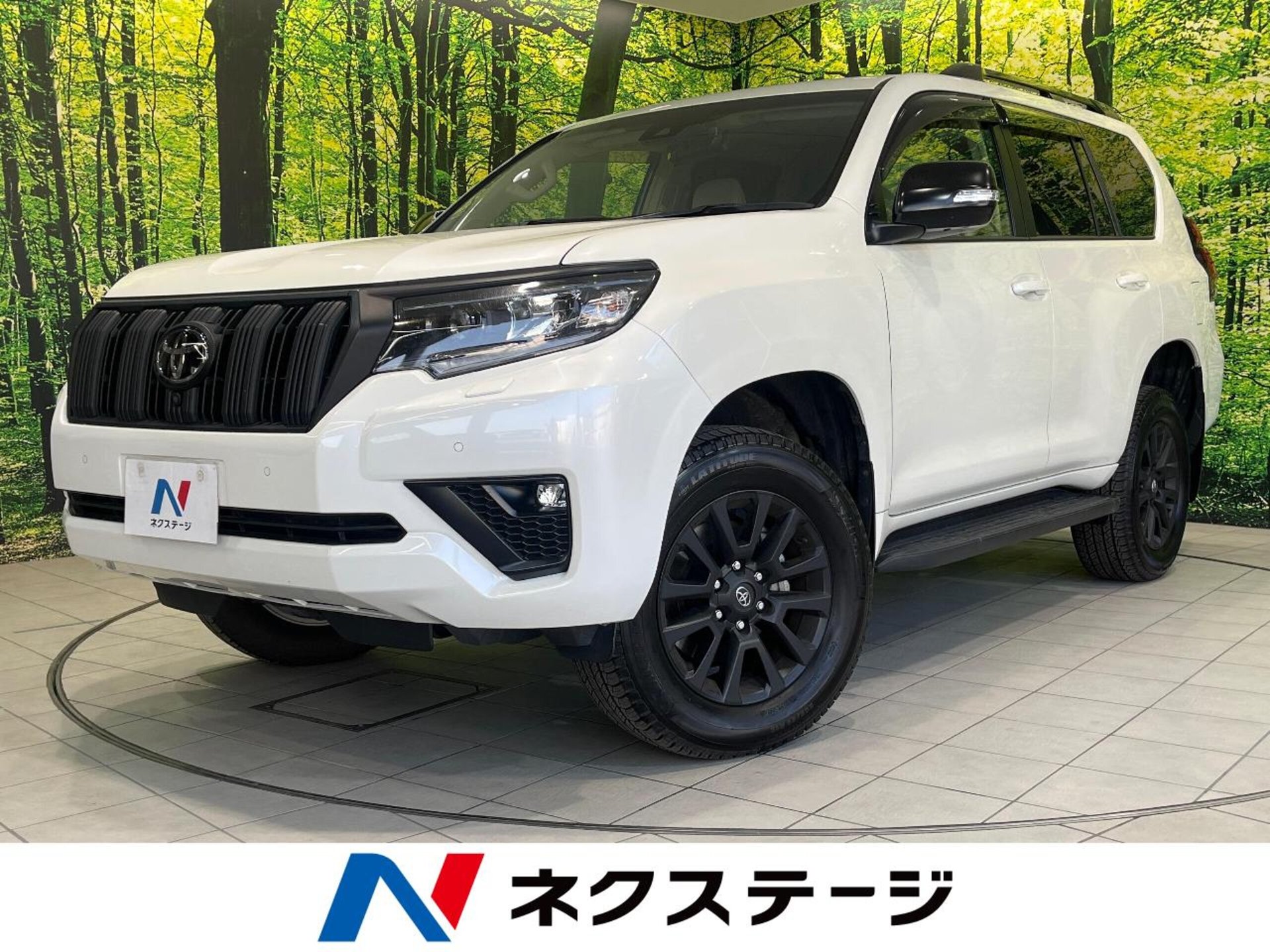 TOYOTA LAND CRUISER PRADO - View 1