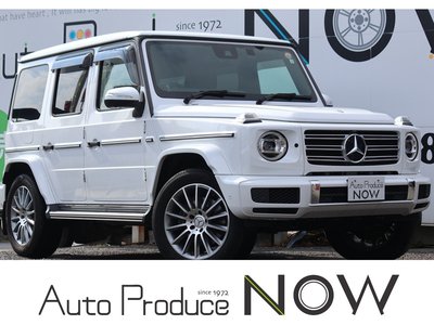 MERCEDES-BENZ G-CLASS - 1