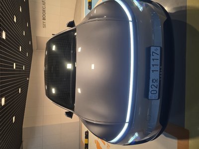TESLA MODEL Y - 1