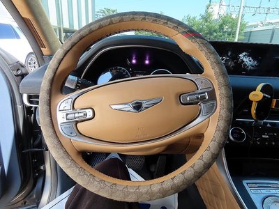 GENESIS GV80 - 10