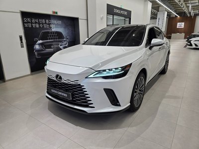 2025 Lexus RX 照片 1