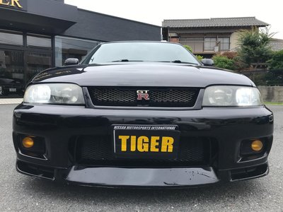 1995 NISSAN SKYLINE GT-R 照片 9