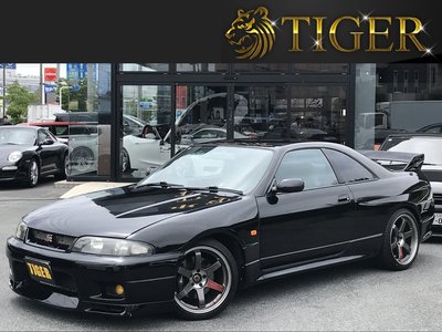 1995 NISSAN SKYLINE GT-R 照片 1