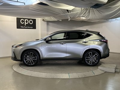 LEXUS NX - 8