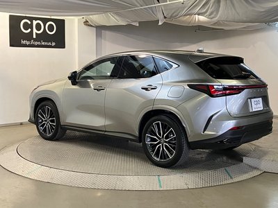 LEXUS NX - 7