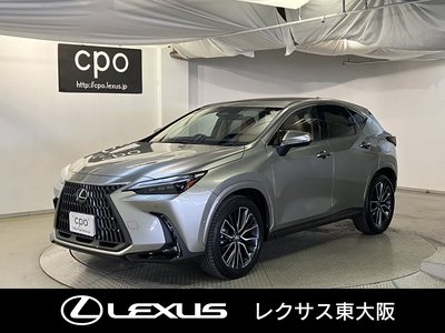 LEXUS NX - 1