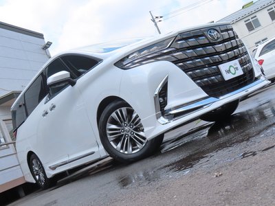 2024 Toyota ALPHARD 缩略图 70