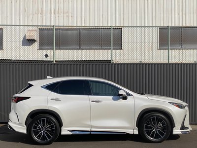 LEXUS NX - 8