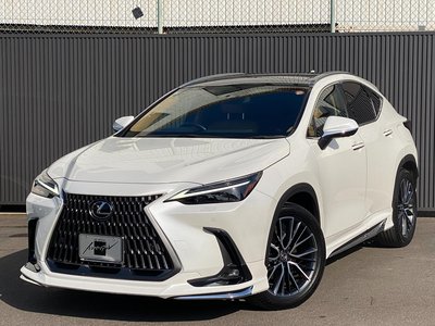 LEXUS NX - 2