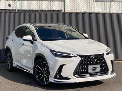 LEXUS NX - 7