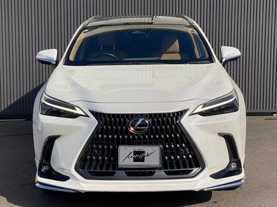 LEXUS NX - 4