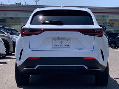 LEXUS NX - 10