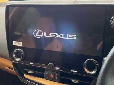 LEXUS NX - 4