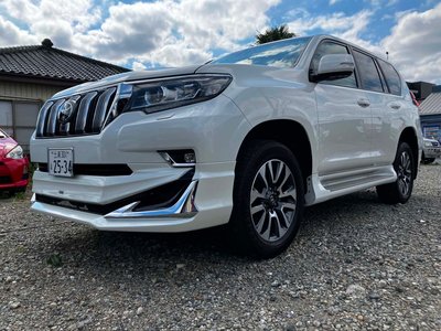 2023 Toyota LAND CRUISER PRADO — фото 8
