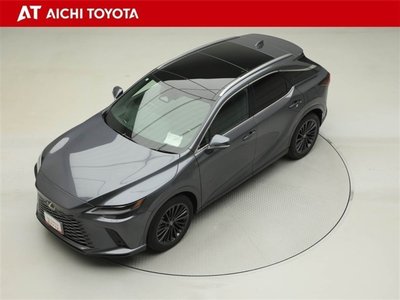 LEXUS RX - 10