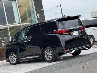 2025 TOYOTA ALPHARD thumbnail 28