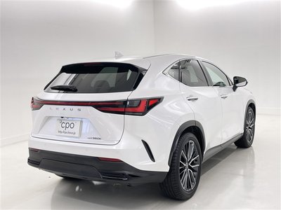 2024 Lexus NX — миниатюра 18