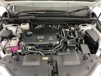 2024 Lexus NX — миниатюра 15