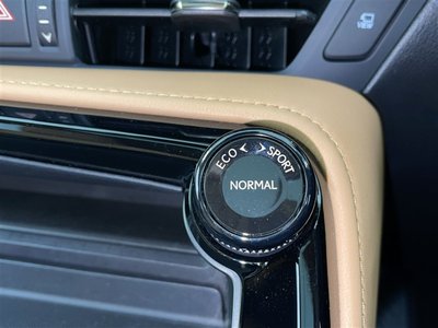 2024 Lexus NX — миниатюра 13